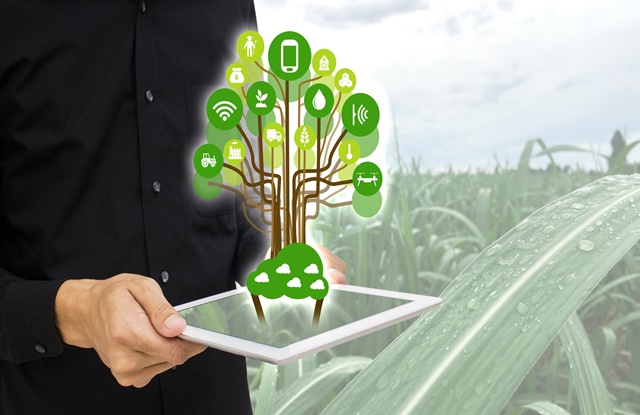 Tech Meets Eco: Perfect Balance