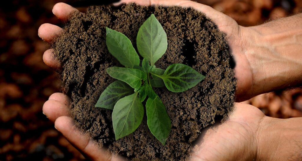 Eco-Friendly Habits for a Greener Planet