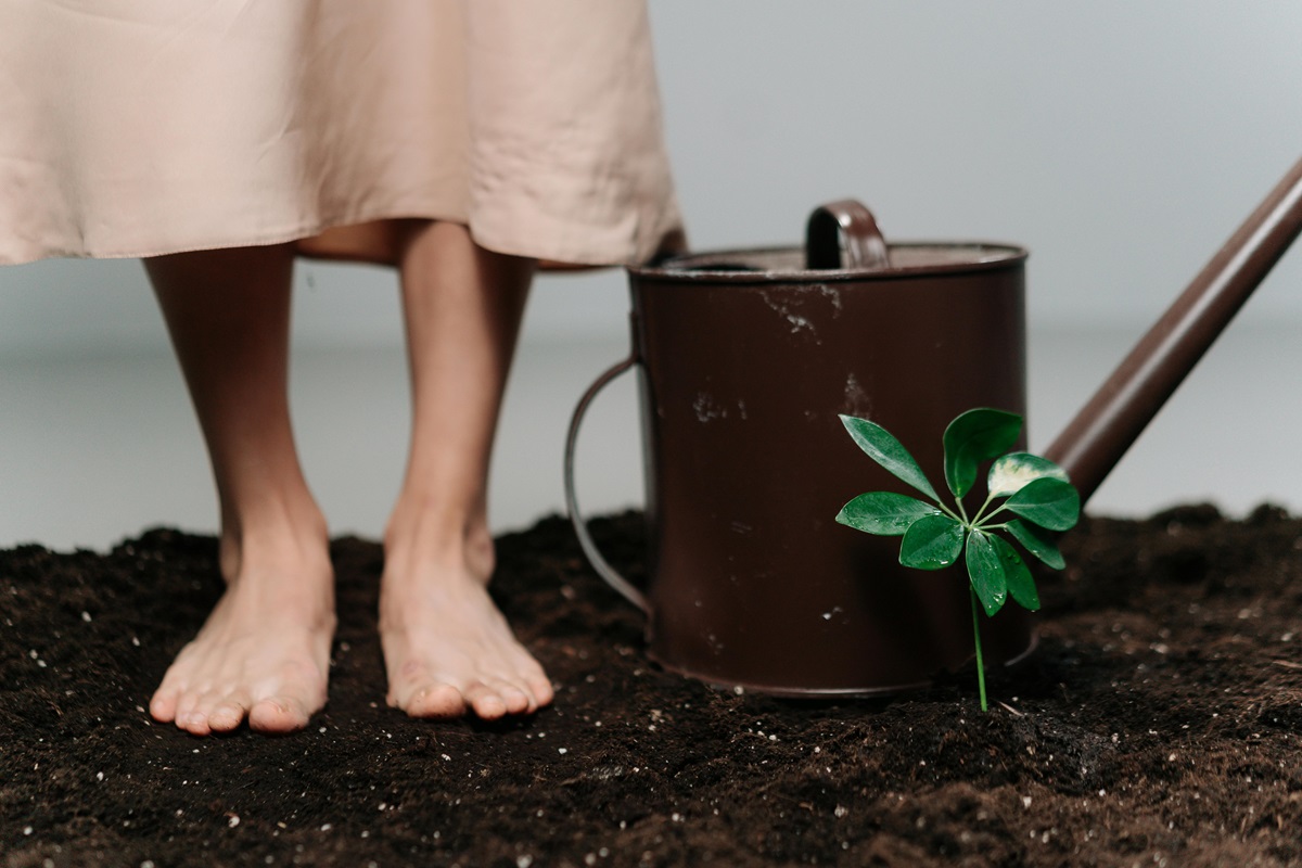 Embrace Grounding Rituals Daily