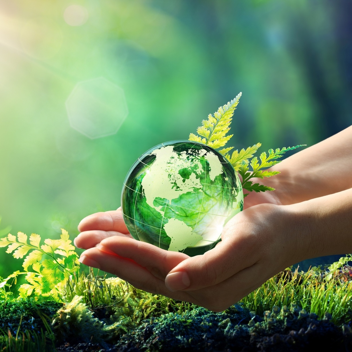 Green Getaways: Sustainable Travel Future