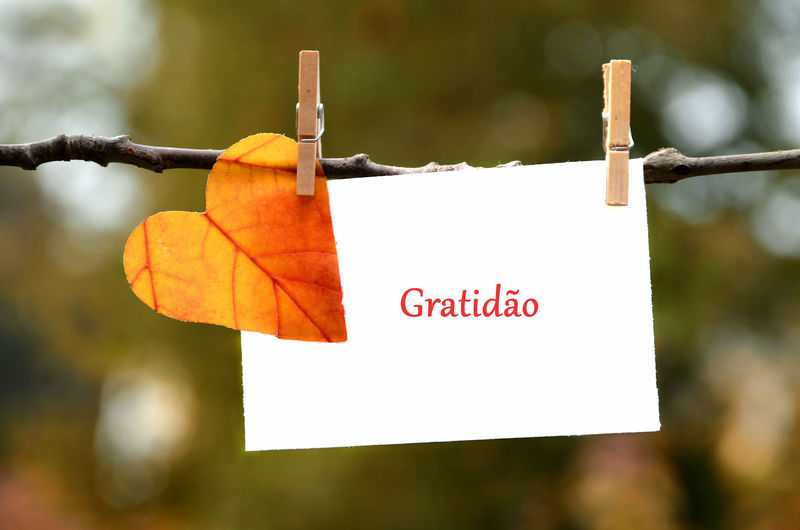 Master Daily Gratitude: Fulfill Life