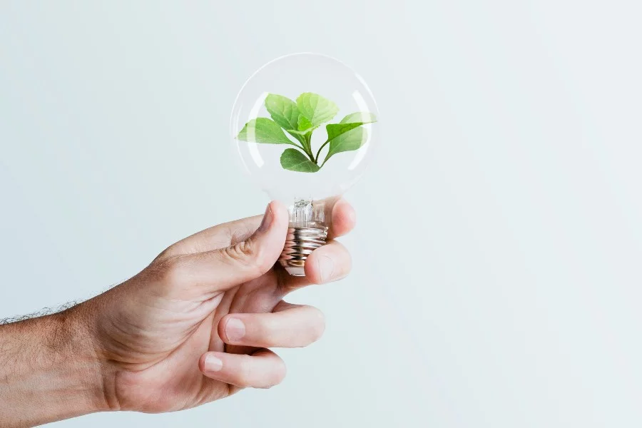 Empowering Green Energy Solutions