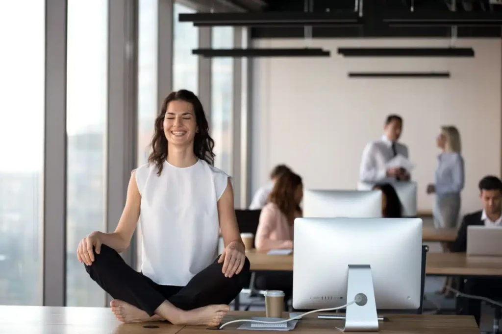 Zen Productivity for Busy Professionals