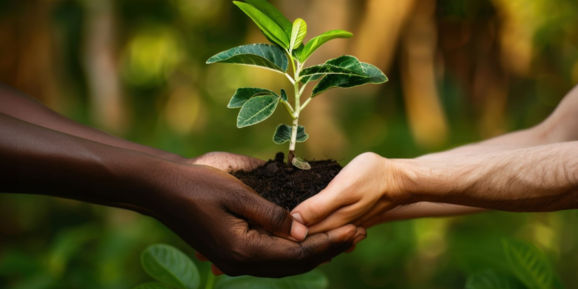 Embrace Green Living: Plant-Based Future