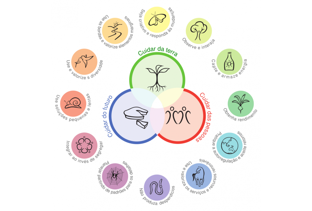 Regenerative Living: Power of Permaculture